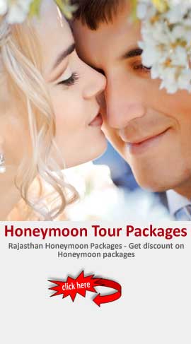 Honeymoon in Rajasthan